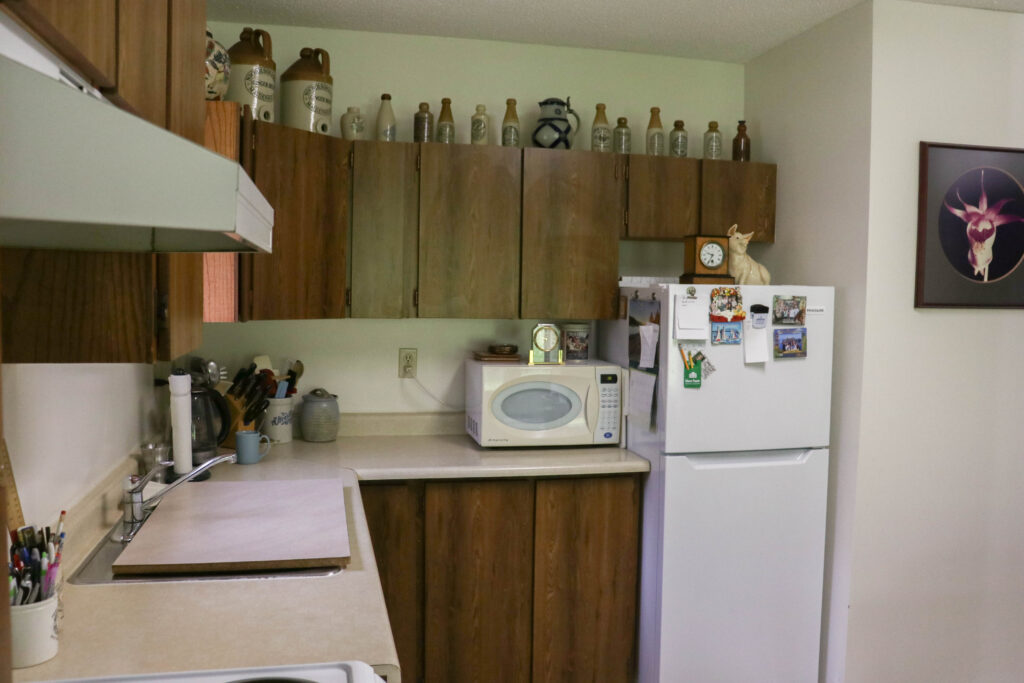 2nd type KItchen view with fridge