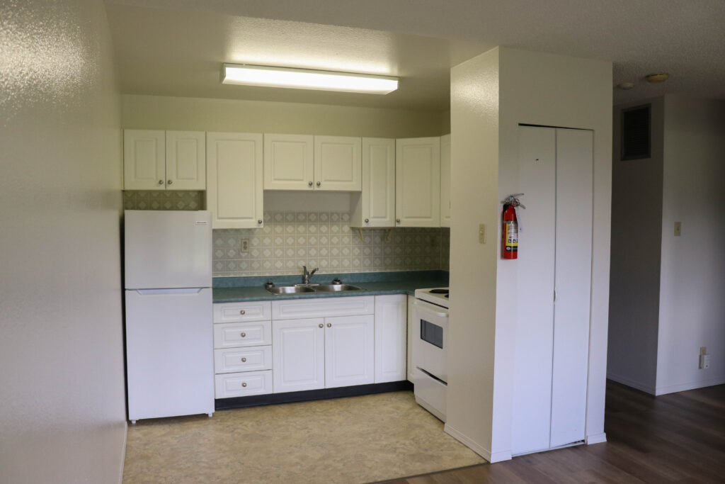 Lower unit kitchen. Upper and lower cabinets, stove fridge sink and storage area.  Fire extinguisher in all suites.